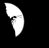 Antje Kreienbrink - Ameise einer Ameisenstrasse