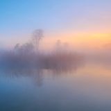 Kevin Prönnecke - Die Aue erwacht