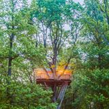 Cabanes Coucoo Grands Chênes à Raray en Picardie, Frankreich