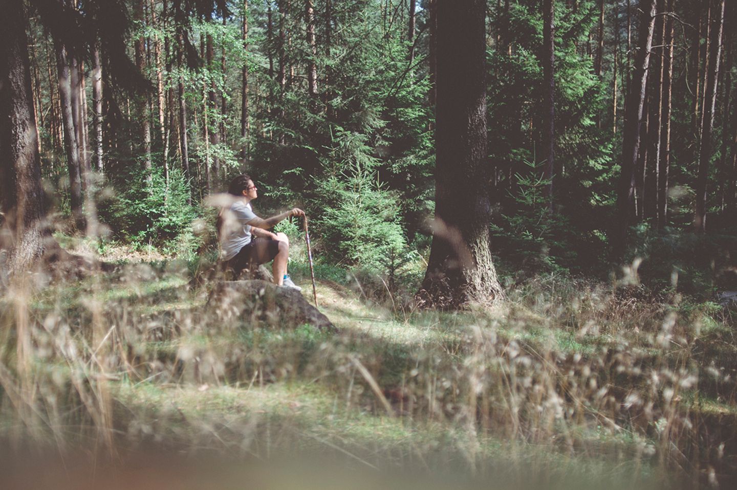 Waldluft