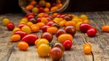 Tomaten