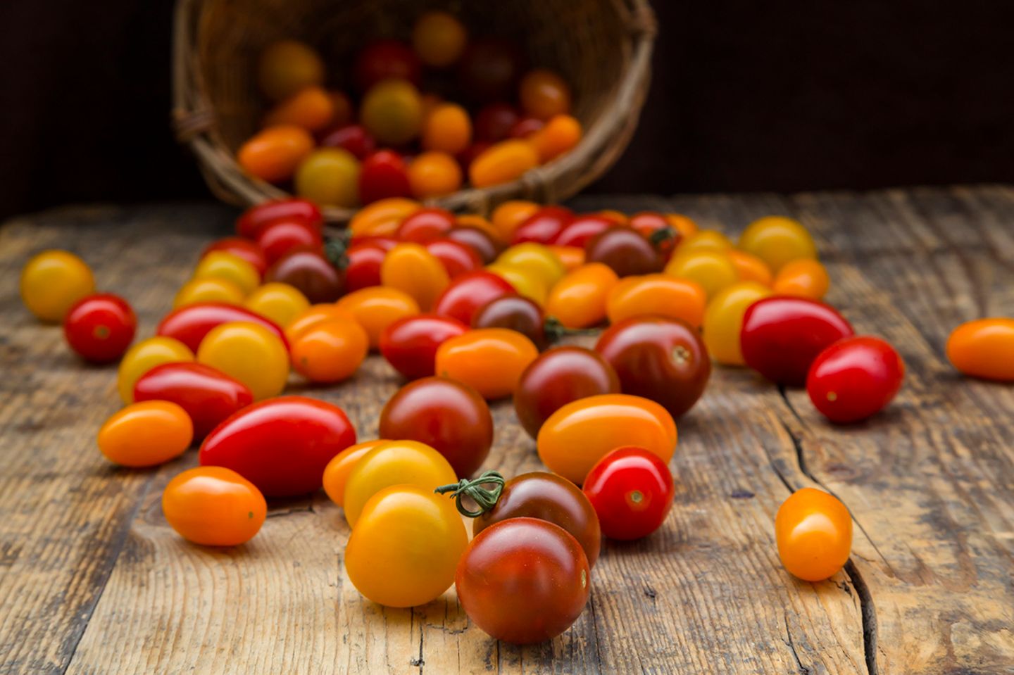 Tomaten