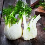 Fenchel