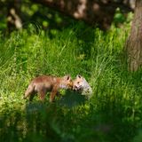 GEO Leserfoto: Die besten Leserfotos: Mai 2019 - Bild 6