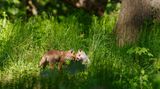 GEO Leserfoto: Die besten Leserfotos: Mai 2019 - Bild 6