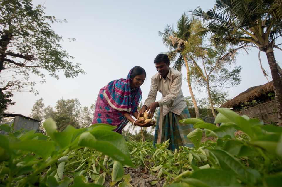 Indien: Einführung nachhaltiger landwirtschaftlicher Produktionsmethoden