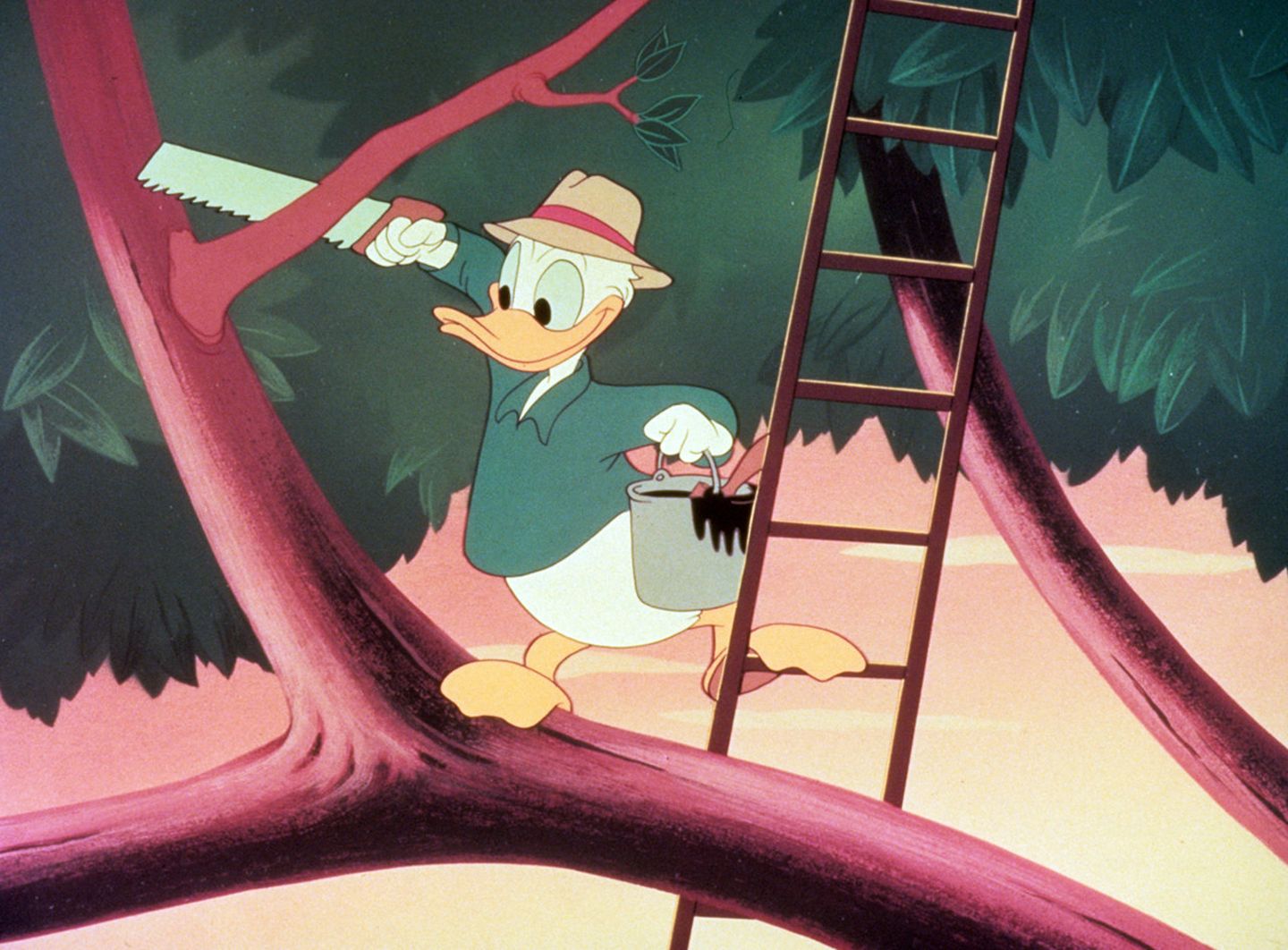 Donald Duck - 85 Jahre