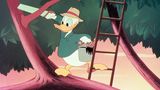 Donald Duck - 85 Jahre