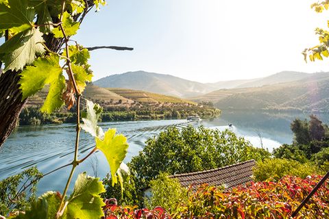 Douro-Tal, Portugal