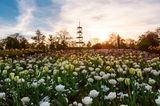 Höhenpark Stuttgart