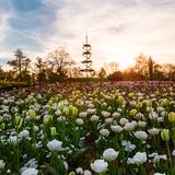 Höhenpark Stuttgart