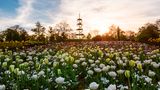Höhenpark Stuttgart