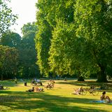 Innerer Grüngürtel, Stadtgarten, Köln