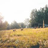 Mecklenburgische Kleinseenplatte