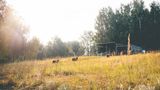Mecklenburgische Kleinseenplatte