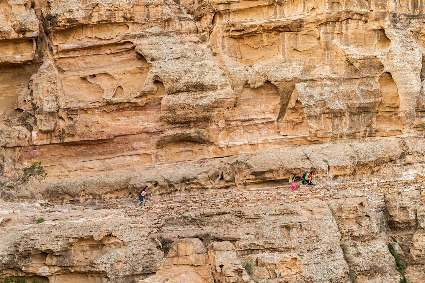 Jordanien: So vielseitig ist eine Wanderung auf dem Jordan Trail - Bild 3 Jordanien