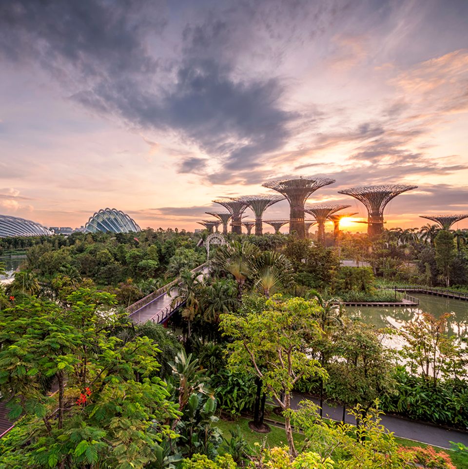 Singapur