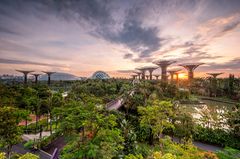 Singapur