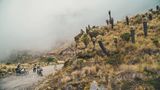 Two Wheels South, gestalten 2019