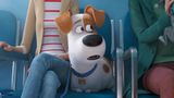 Pets 2