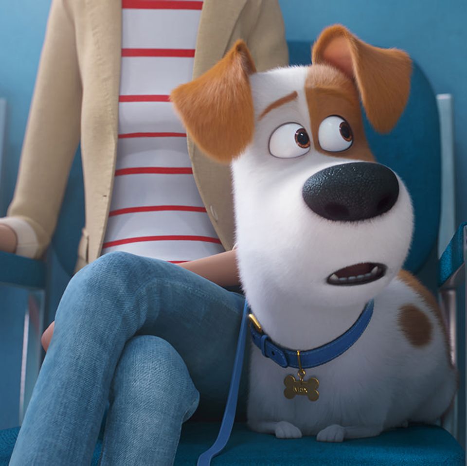 Pets 2