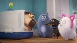 Pets 2