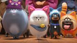 Pets 2