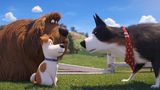 Pets 2