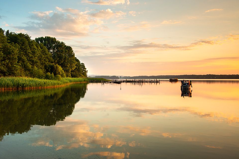 Scharmützelsee, Brandenburg 1.4988
