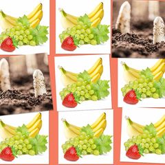 Memory, Fotos: Fotolia