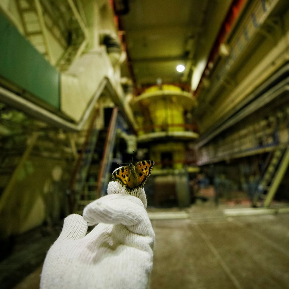 Tschernobyl