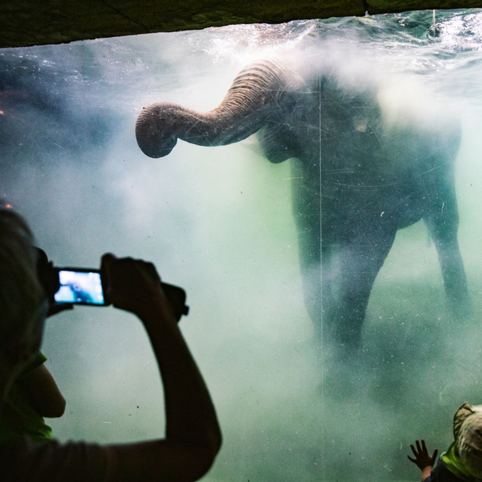 Zoo