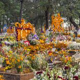 Tag der Toten in Mexiko