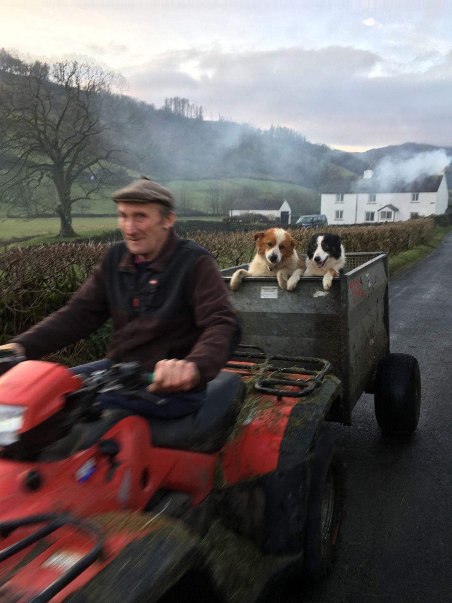 Sam und Laddie Dog Photographer of the Year