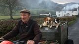 Dog Photographer of the Year
