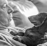 Dog Photographer of the Year