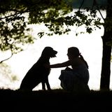 Dog Photographer of the Year