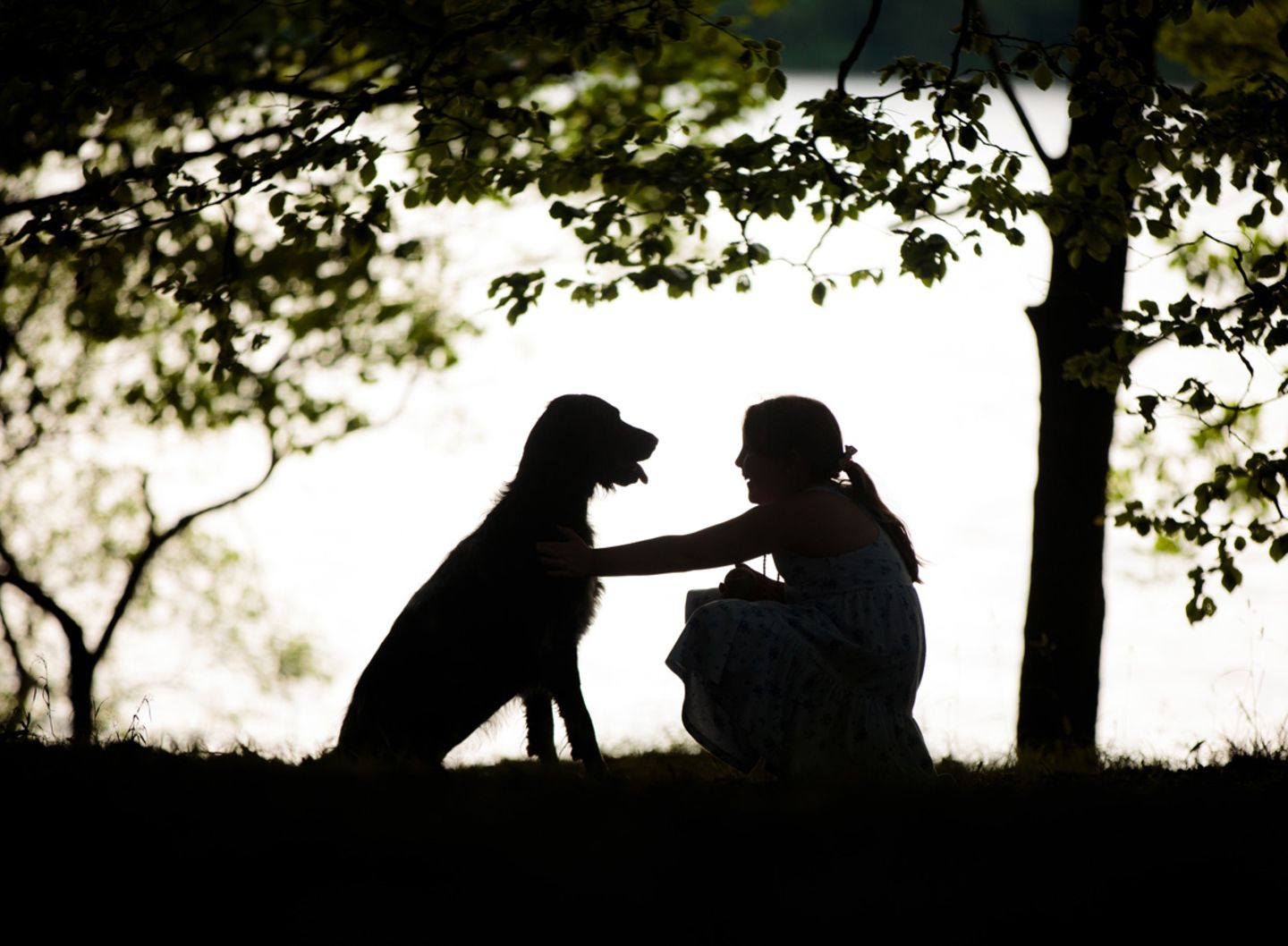 Inka Dog Photographer of the Year