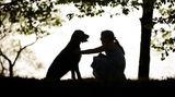 Dog Photographer of the Year