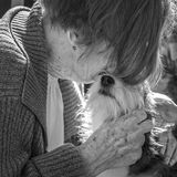 Dog Photographer of the Year