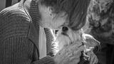 Dog Photographer of the Year