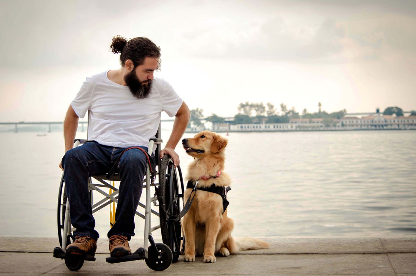 Gaia Dog Photographer of the Year