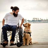 Dog Photographer of the Year