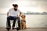 Dog Photographer of the Year