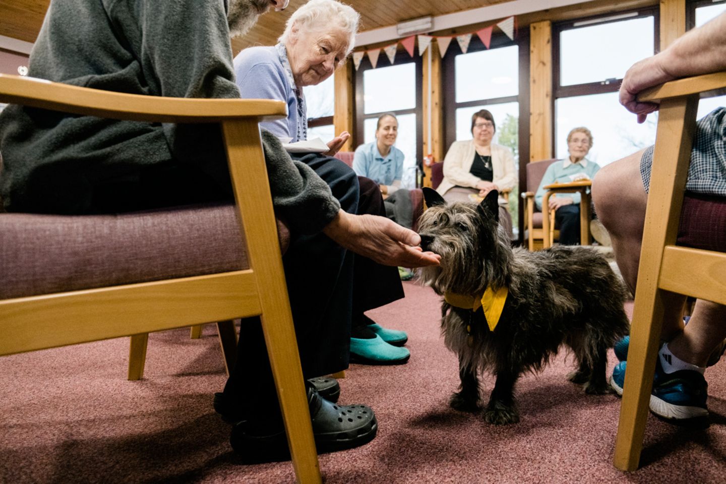 Abraham Dog Photographer of the Year