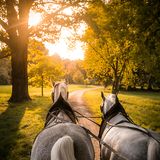 Tschechien: Kladruby nad Labem
