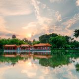 The Chinese and Japanese Gardens