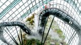 Cloud Forest