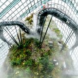 Cloud Forest