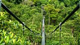 MacRitchie Reservoir